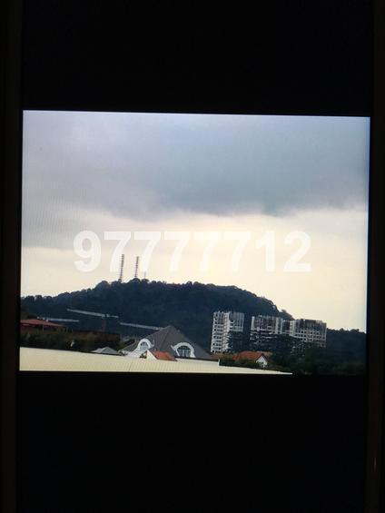 Blk 133 Cashew Road (Bukit Panjang), HDB Executive #139286812